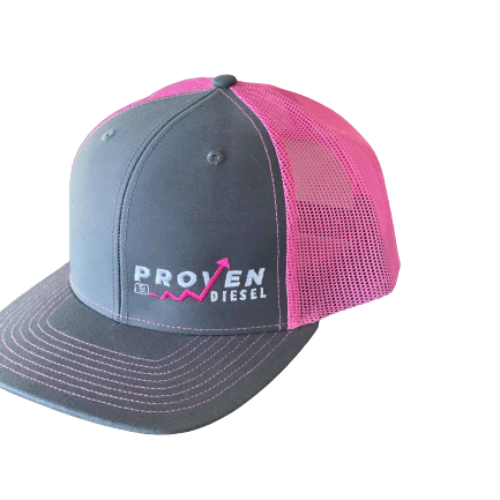 Gray & Pink Snapback Hat